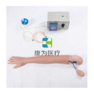 “康為醫療”血液透析模擬仿真人,血液透析模擬手臂模型