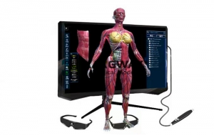 遂寧VR 虛擬現實智慧教室解決方案，VR - Human 3D虛擬人體解剖教學系統